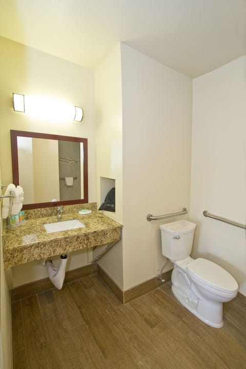 Room, 1 Queen Bed, Accessible, Non Smoking | Bathroom | Shower, free toiletries, hair dryer, towels