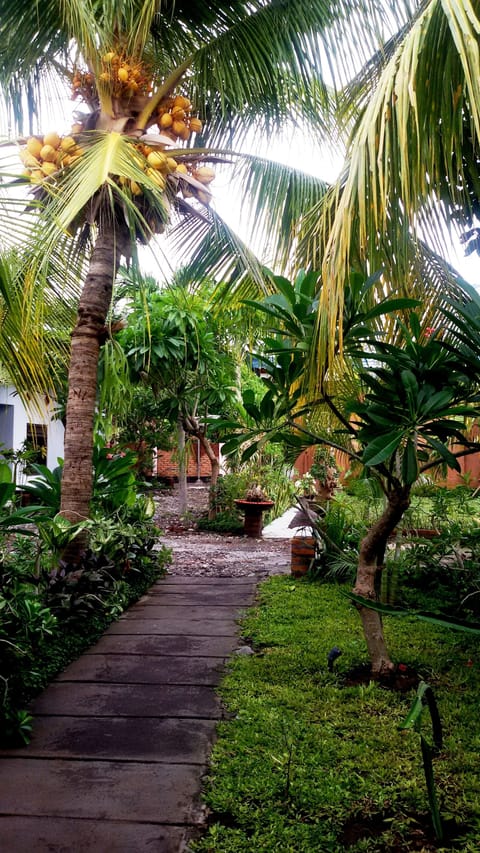 Standard Room with Fan | Terrace/patio