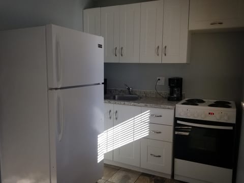 Suite, 2 Bedrooms, Kitchenette, Lake View | Private kitchenette | Fridge, microwave, oven, stovetop