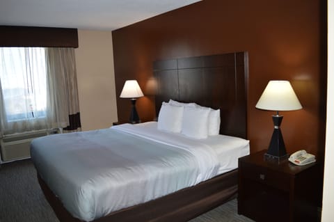 Standard Room, 1 King Bed, Non Smoking | Desk, iron/ironing board, rollaway beds, free WiFi