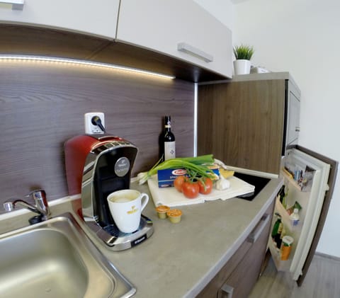 Grand Apartment | Private kitchenette | Full-size fridge, microwave, stovetop, espresso maker