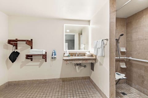 Standard Room, 1 King Bed, Accessible, Non Smoking | Bathroom | Combined shower/tub, deep soaking tub, hydromassage showerhead