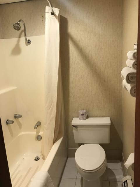 Standard Room, 1 Queen Bed, Lake View | Bathroom | Combined shower/tub, free toiletries, hair dryer