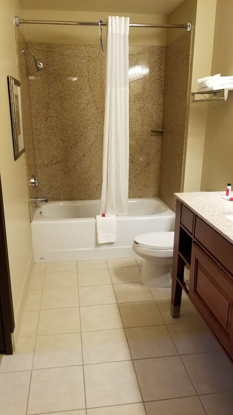 Suite, 1 Queen Bed, Non Smoking | Bathroom | Combined shower/tub, free toiletries, hair dryer, towels