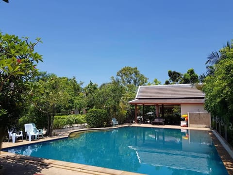 Outdoor pool, sun loungers