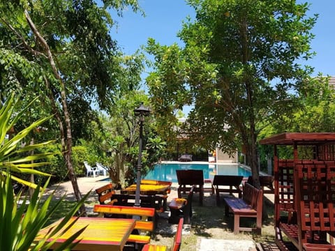 Outdoor pool, sun loungers