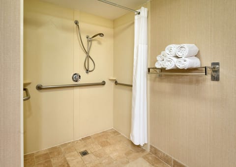 Room, 1 Queen Bed, Accessible, Non Smoking | Bathroom shower