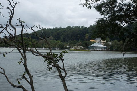 Lake