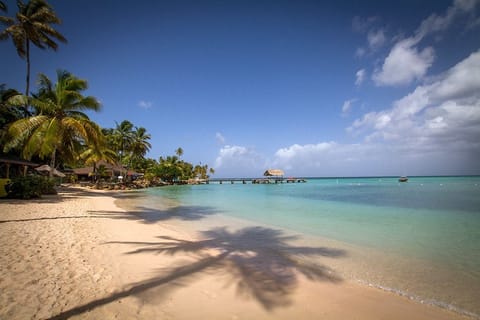 Beach nearby, white sand