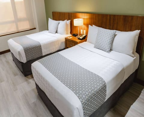 Standard Room, 2 Double Beds | 1 bedroom, Egyptian cotton sheets, premium bedding, down comforters