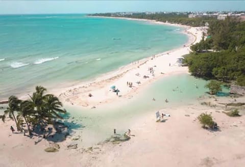 Beach nearby, white sand