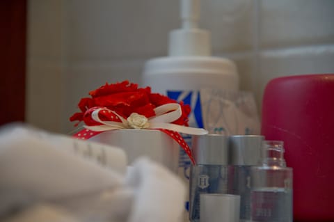 Shower, free toiletries, hair dryer, bathrobes