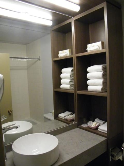 Combined shower/tub, free toiletries, hair dryer, towels