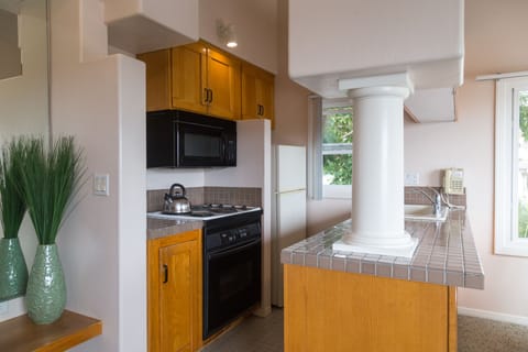 Studio, Non Smoking, Kitchenette | Private kitchen | Full-size fridge, microwave, oven, stovetop