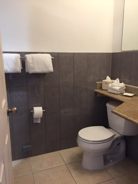 Combined shower/tub, free toiletries, towels