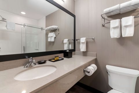 Standard Room, 1 King Bed, Non Smoking (Shower Only) | Bathroom | Free toiletries, hair dryer, towels