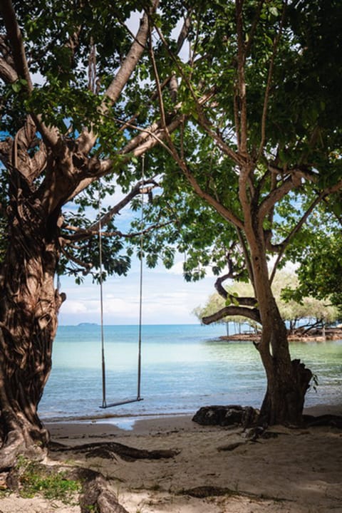 Beach Front Villa | View from room