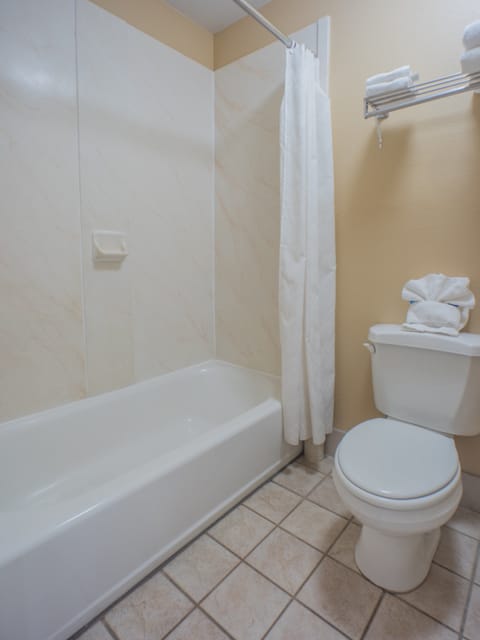 Combined shower/tub, free toiletries, hair dryer, towels