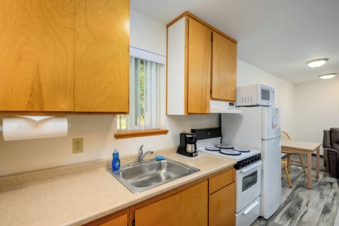 Deluxe Apartment, 1 Queen Bed with Sofa bed, Kitchen | Private kitchen | Full-size fridge, microwave, oven, stovetop