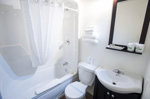 Standard Room, 1 Queen Bed | Bathroom | Combined shower/tub, free toiletries, hair dryer, towels