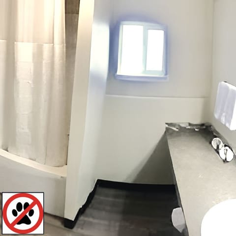  King Suite | Bathroom | Combined shower/tub, free toiletries, towels