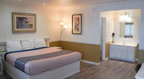 Single Room | Desk, iron/ironing board, free WiFi