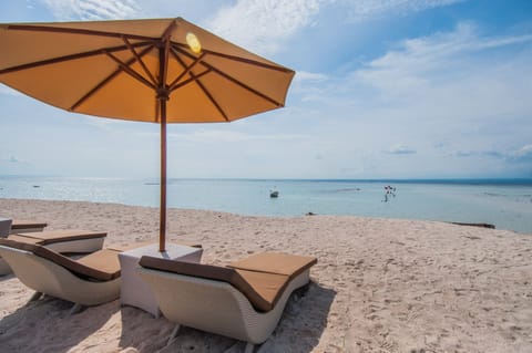 Beach nearby, white sand, kayaking