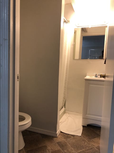 1 Full Bed with Shower Bath - Non Smoking | Bathroom | Hair dryer