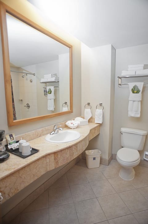 Combined shower/tub, deep soaking tub, free toiletries, hair dryer