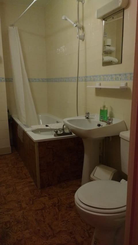 Family Room, Ensuite, Annex Building | Bathroom | Combined shower/tub, free toiletries, hair dryer, towels