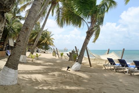 On the beach, sun loungers, beach towels, beach massages