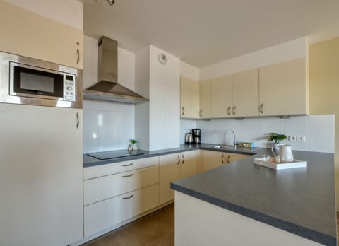 Standard Apartment, 3 Bedrooms, Terrace | Private kitchen | Fridge, microwave, stovetop, dishwasher