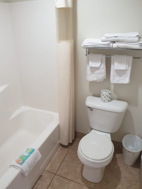 Combined shower/tub, deep soaking tub, free toiletries, towels