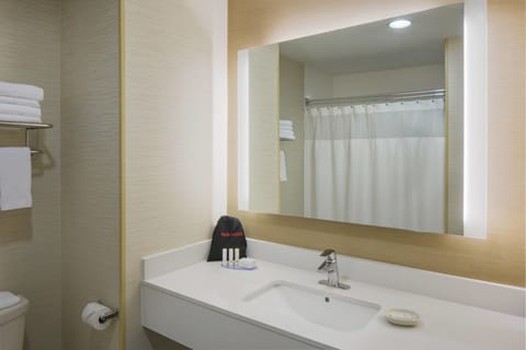 Combined shower/tub, hair dryer