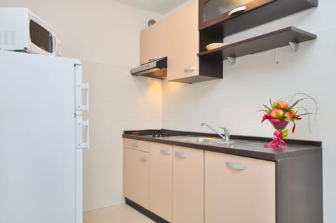 Apartment (Agava) | Private kitchenette | Mini-fridge, electric kettle