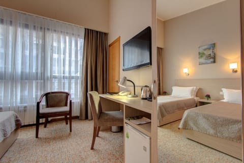 Standard Twin Room | Minibar, desk, iron/ironing board, free WiFi