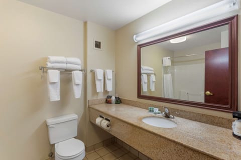 Combined shower/tub, free toiletries, hair dryer, towels