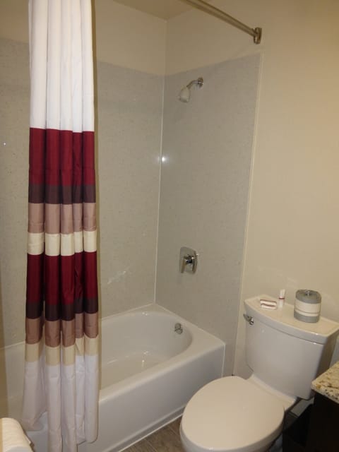 Combined shower/tub, free toiletries, hair dryer, towels