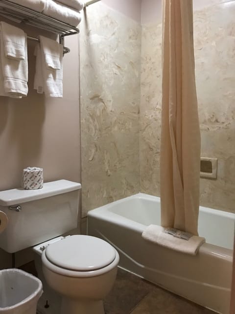 Combined shower/tub, hair dryer, towels