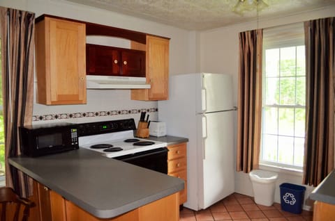 Suite 116 | Private kitchen | Fridge, microwave, coffee/tea maker