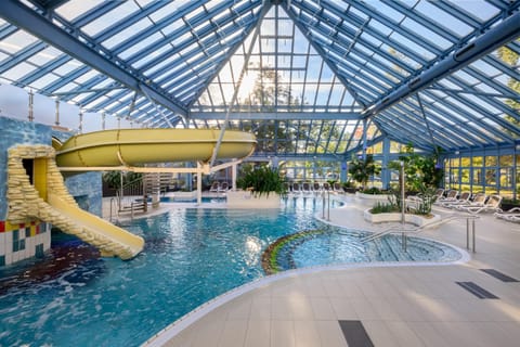 Indoor pool, sun loungers