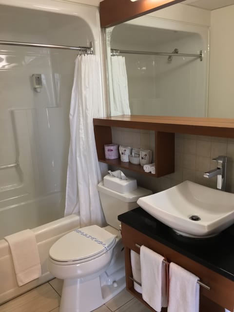 Combined shower/tub, free toiletries, hair dryer, towels