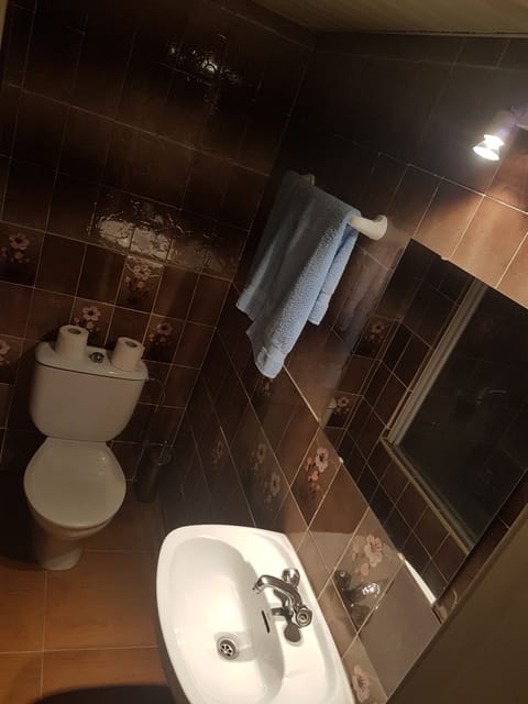 Double or Twin Room | Bathroom | Free toiletries, towels