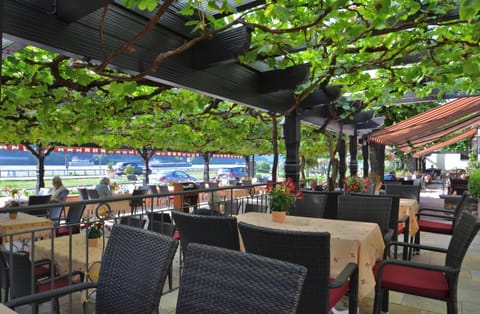 Lunch and dinner served, Regional cuisine