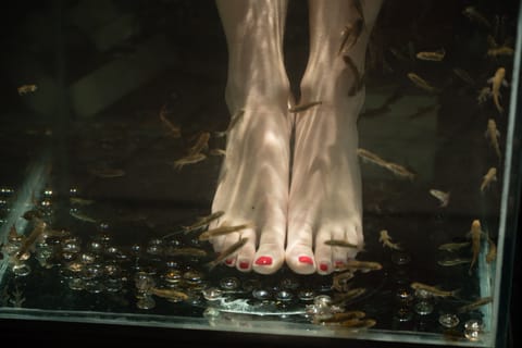 Sauna, hot tub, steam room, hot springs, Turkish bath, body treatments