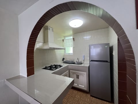 Standard Apartment, 2 Bedrooms, Kitchen | Private kitchen | Full-size fridge, microwave, stovetop, cookware/dishes/utensils