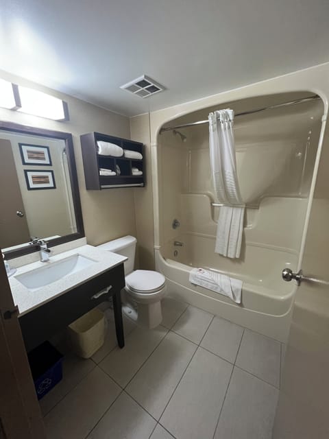 Combined shower/tub, free toiletries, hair dryer, towels