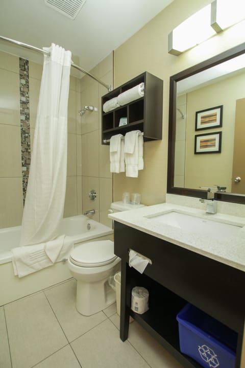 Combined shower/tub, free toiletries, hair dryer, towels