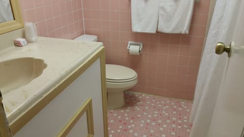 Combined shower/tub, towels