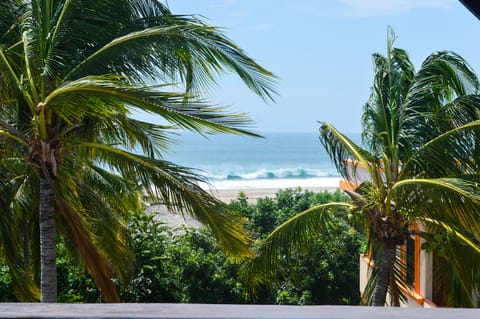 Apartment, Ocean View (Plumeria) | Beach/ocean view